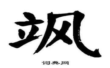 飒读后感优质8篇