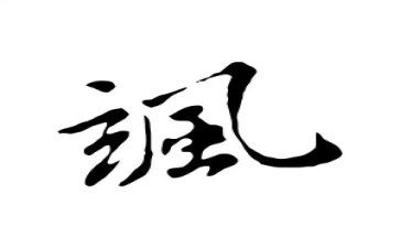飒读后感参考5篇