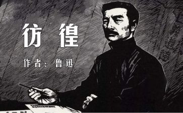 呐喊彷徨的读后感8篇