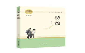《彷徨》心得体会7篇