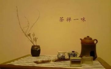 禅与狐狸的读后感模板7篇