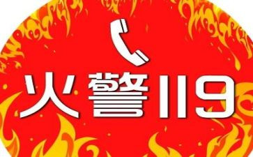 119幼儿园消防活动总结8篇