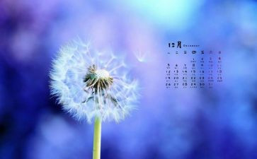 2024年12月小班月总结7篇