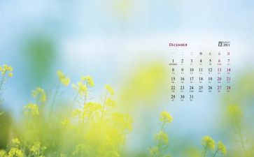 出纳第12月工作计划6篇