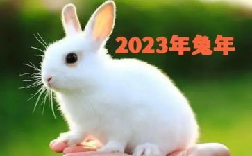 2023年金融工作总结5篇