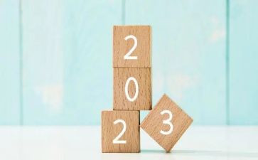 2023年组织员工作总结5篇
