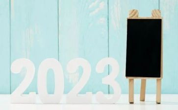 2023年防疫安全工作总结优质7篇