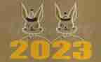 医药行业2023年工作总结5篇