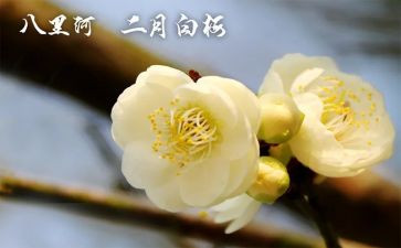 2024年2月份的工作总结8篇