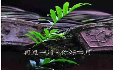 幼儿教师2月工作总结7篇