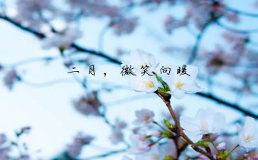 2023年2月份工作报告8篇