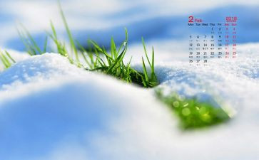 大班2月份工作计划5篇