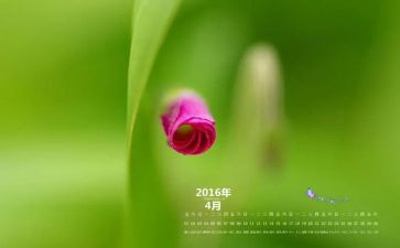 4月支部工作计划8篇
