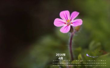 4月工作心得5篇