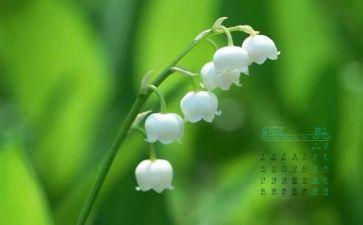 幼师4月份工作总结6篇