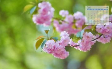 4月份个人总结7篇