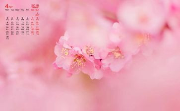大大班4月份工作计划6篇