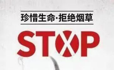 教师531工作计划参考6篇