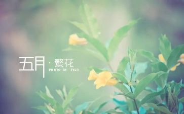 5月份安全总结全总结7篇