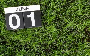 2024年幼儿园中班6月份工作总结7篇