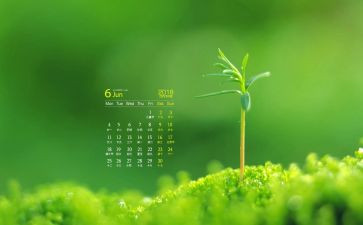 幼儿园中班6月份工作计划5篇