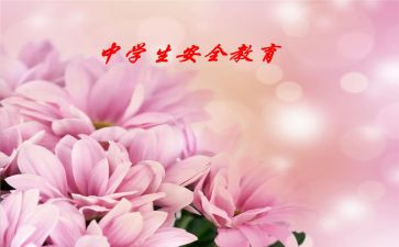 911读后感100字参考6篇