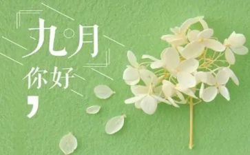 幼儿园教师9月份工作总结8篇
