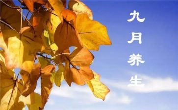 20239月工作计划7篇