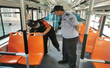 保安员总结年度个人总结7篇