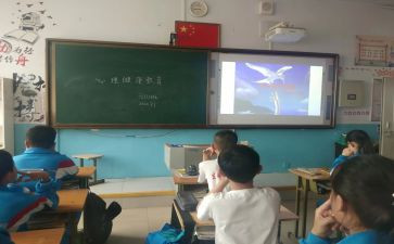 班会课优秀教案8篇