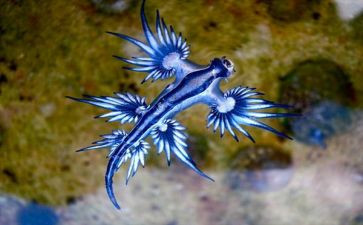 生物多样性日活动方案8篇