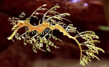 生物实验心得体会范文6篇