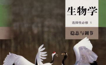 生物教师工作年终总结8篇