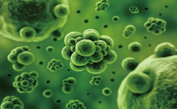 我的生物作文8篇