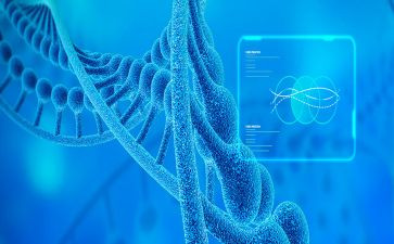 生物教师个人述职报告8篇