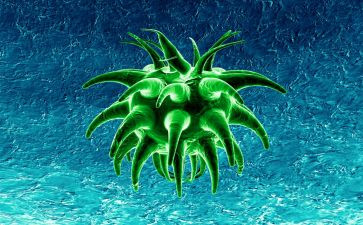 初二生物学期工作总结6篇
