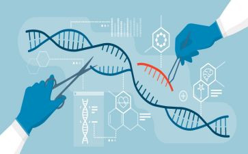 初中生物组的工作计划通用7篇