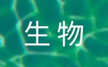 初中生物组的工作计划7篇