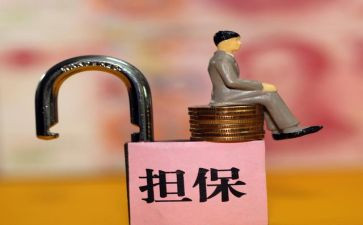 保全申请书推荐7篇
