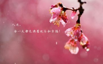 八月份销售的工作计划7篇