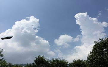 学校的变化作文8篇