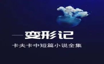 变形记我是风作文7篇