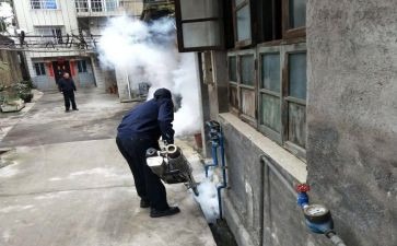 社区的病媒生物工作计划7篇