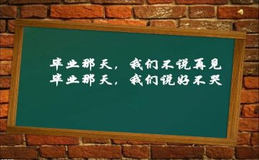 毕设个人总结500字8篇