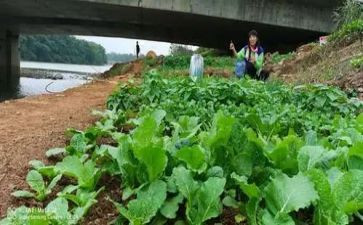 小学生关于烧菜的作文5篇