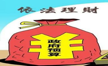 2024年财政局半年度工作总结8篇