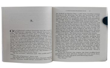 灿烂千阳读后感800字8篇