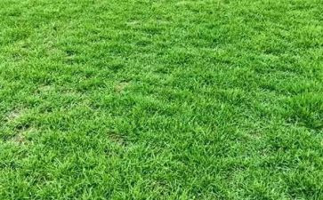 稻草的读后感通用5篇