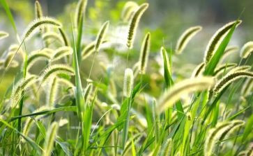 草船借箭读后感三百字6篇