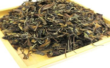 茶花女读后感参考6篇